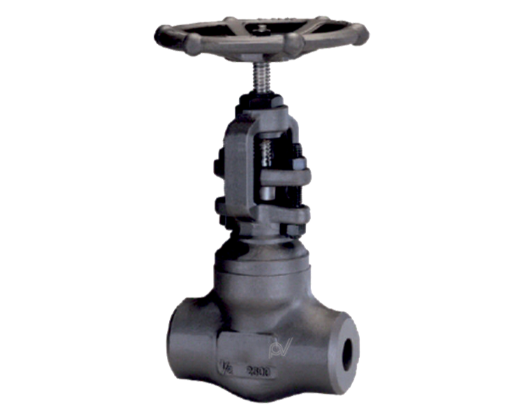 PARIN VALVES